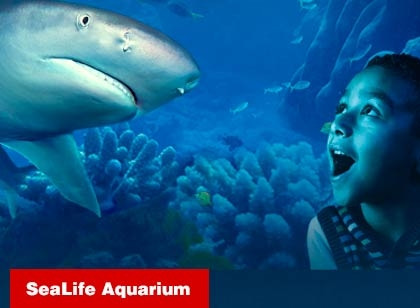 SEA LIFE Aquarium + Digital Photos